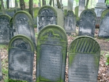 Gewaltiger Instandssetzungbedarf herrscht auch auf dem Jüdischen Friedhof von Warschau. Foto: Judith Kessler