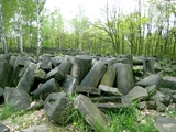Gewaltiger Instandssetzungbedarf herrscht auch auf dem Jüdischen Friedhof von Warschau. Foto: Judith Kessler