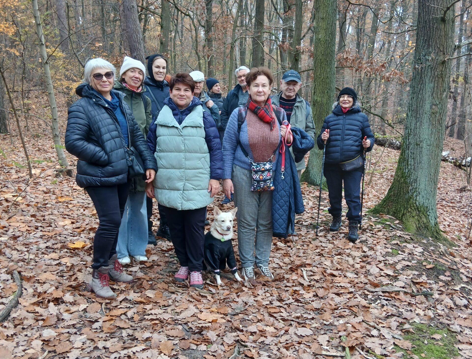 Wanderung mit Nikita & Mila